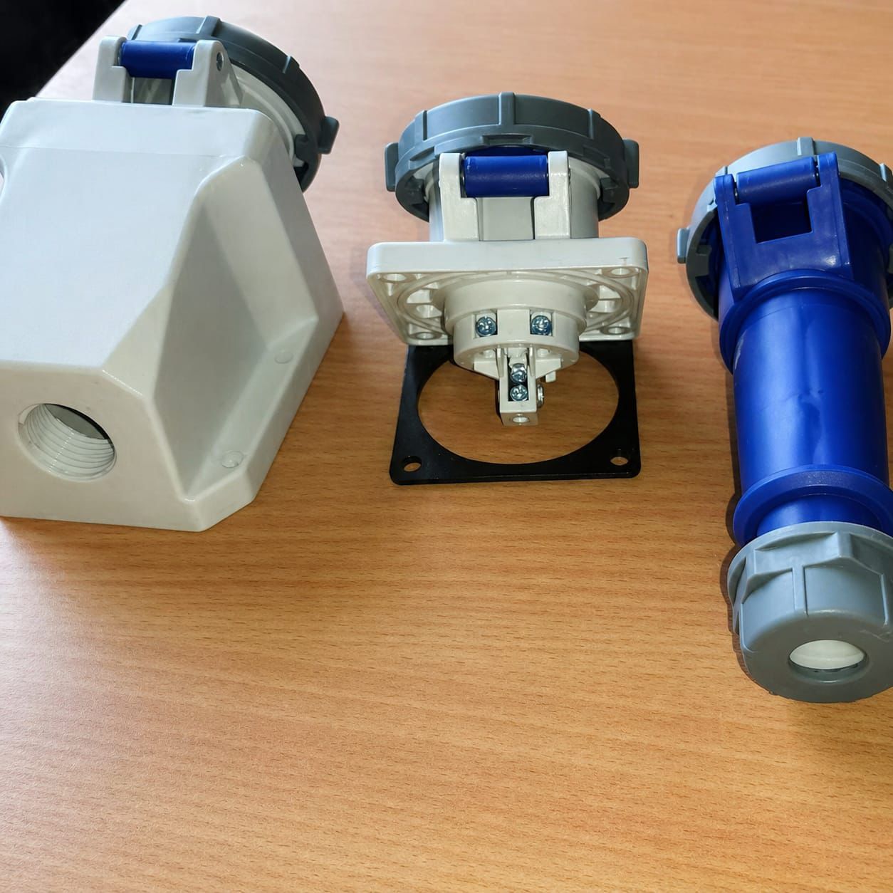 Earth leakage relay with CBCT